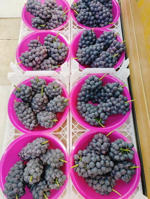 采摘园葡萄2斤 商品图2