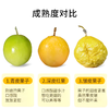  【钦蜜9号百香果】当季鲜摘 黄金甜感  果肉嫩滑 甜蜜多汁 尝鲜正当时！ 商品缩略图4