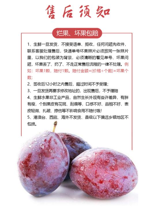 火热预售【吉耕严选】新疆·喀什法兰西 西梅 商品图8