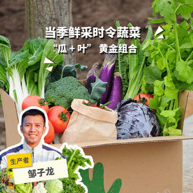 【素食友好】生态蔬菇豆蛋综合蔬菜箱（瓜叶搭，6-11种蔬菜，菇豆腐豆芽鸡蛋）| 绿家自产* Ecological Vegetable Box | Self-production