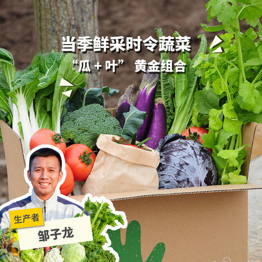 【素食友好】生态蔬菇豆蛋综合蔬菜箱（瓜叶搭，6-11种蔬菜，菇豆腐豆芽鸡蛋）| 绿家自产* Ecological Vegetable Box | Self-production 商品图0