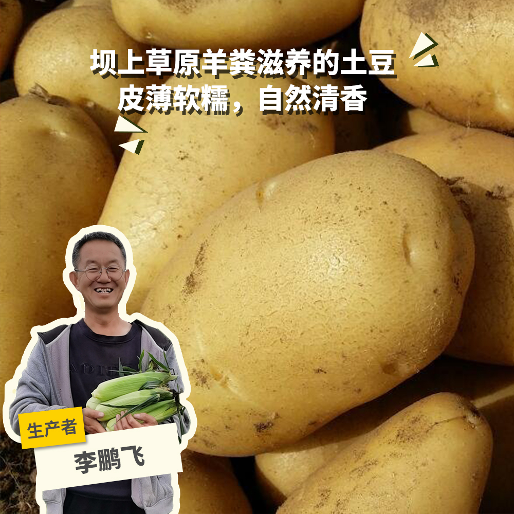生态羊粪土豆 | 合作生产* Eco- potato | Coproduction