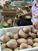 粉红恋人芒果致享臻品 商品缩略图8