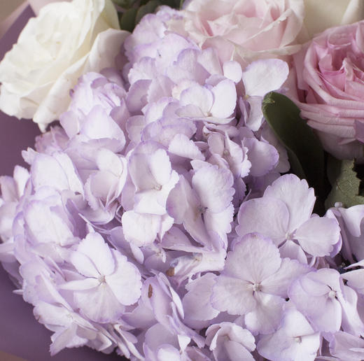 Alice大花束（淘汰） 商品图1