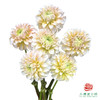 大丽花-流萤 4-5枝一扎 商品缩略图0