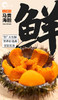 熊小爱鲜海胆肉（顺丰空运包邮） 商品缩略图1