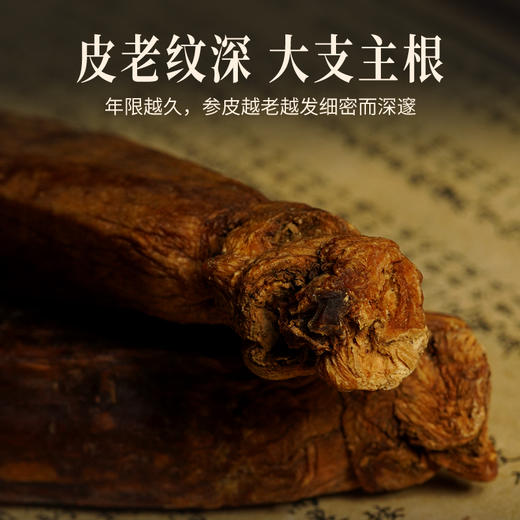 康美新开河 单支红参20g/30g中药饮片 整支盒装 长白山大支主根 商品图6
