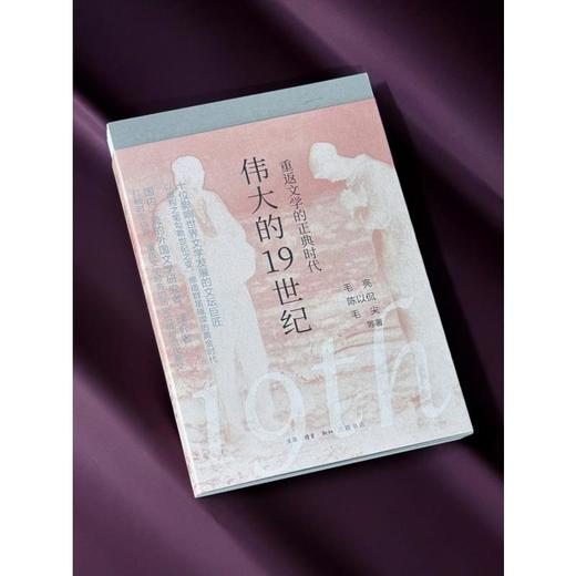 伟大的19世纪 生活·读书·新知三联书店 商品图2