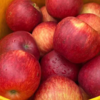 【云南昭通红露苹果】顺丰到家 色泽如玫瑰般鲜艳 果型饱满 口感爽脆可口 接近纯甜 口感细腻 当季红富士 4种规格任选 商品缩略图0