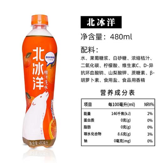 北冰洋碳酸饮料 桔汁汽水 480ml/瓶 商品图2