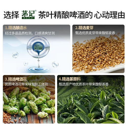【年货节开门红】茅记 新中式 精酿茶啤 龙井绿茶口味1L*6罐装 整箱 商品图3