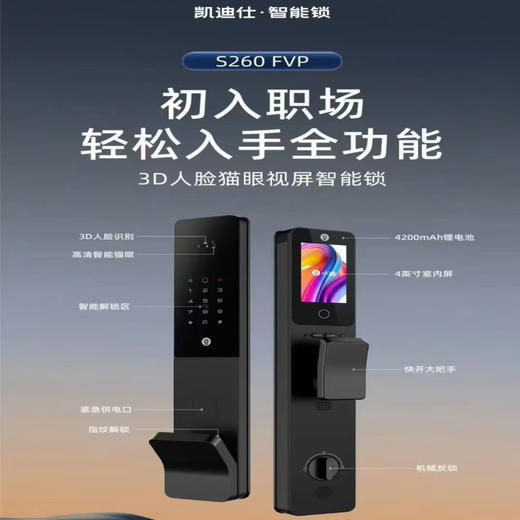凯迪仕智能锁S260FVP 商品图0