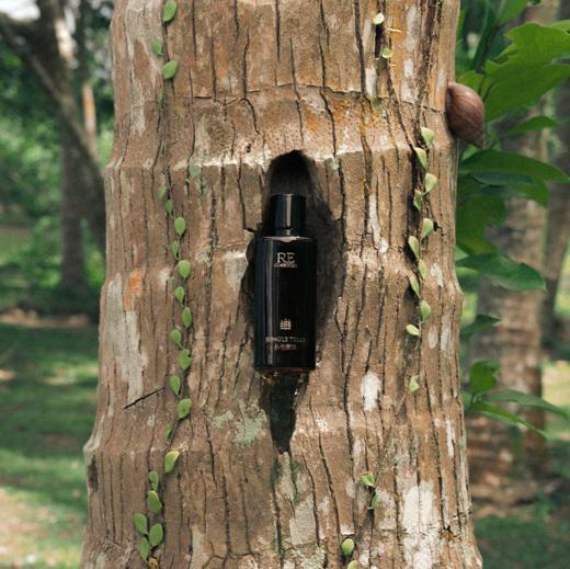 【新品上市】丛林童话沙龙香水50ml 商品图1