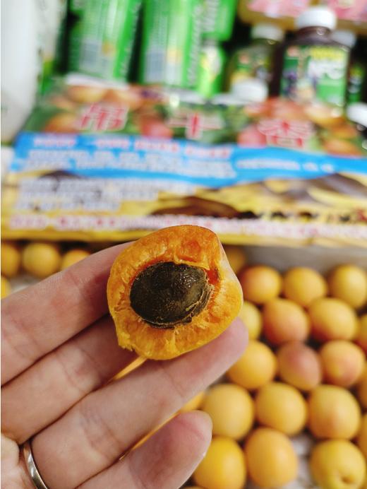 吊干杏一筐 商品图0