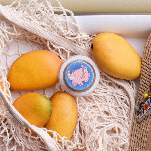 【旅行的回响】吉祥粉象 POPGRIP泡泡骚手机粘贴式气囊支架 Graphic平面系列 粉色 动物 商品图1