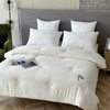 安竹堂纯棉套件被芯套装 200*230cm 商品缩略图1