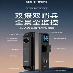 凯迪仕智能锁P30promax