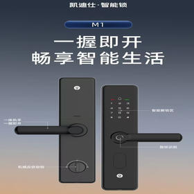凯迪仕智能锁M1-W