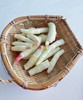 【嫩姜芽】  1kg/罐 商品缩略图7