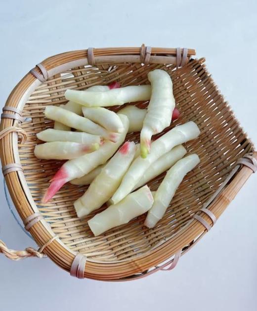 【嫩姜芽】  1kg/罐 商品图7