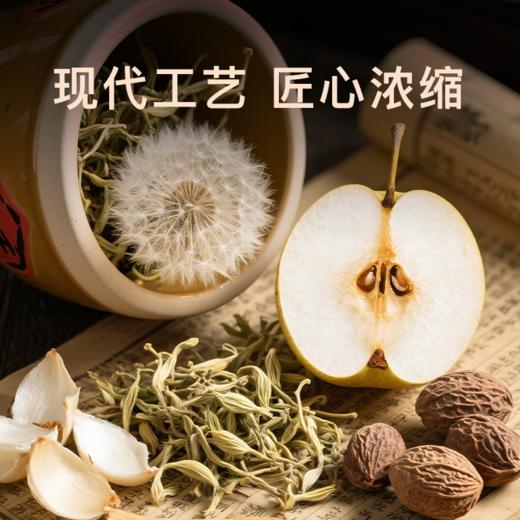 金银花蒲公英浓缩液  清凉熬夜上火常备 买二送一 商品图2