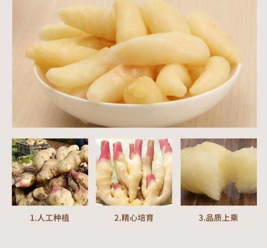 【嫩姜芽】  1kg/罐 商品图8