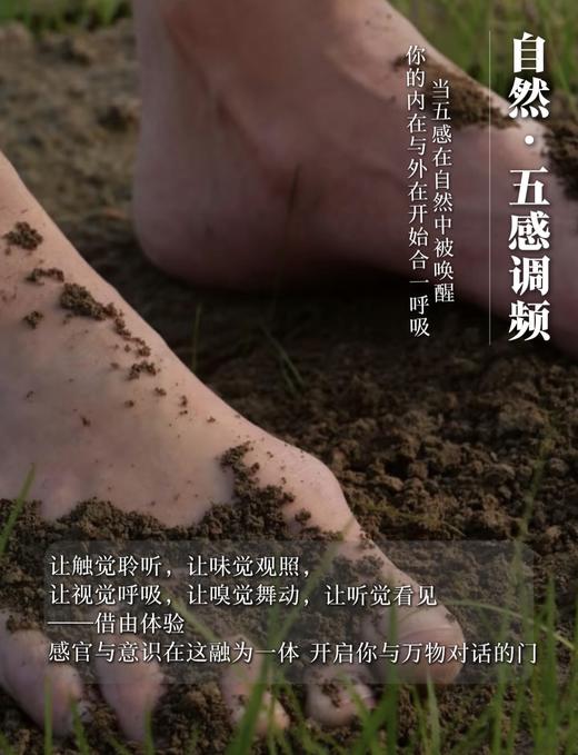 源频岛屿 · 岛民活动 商品图7