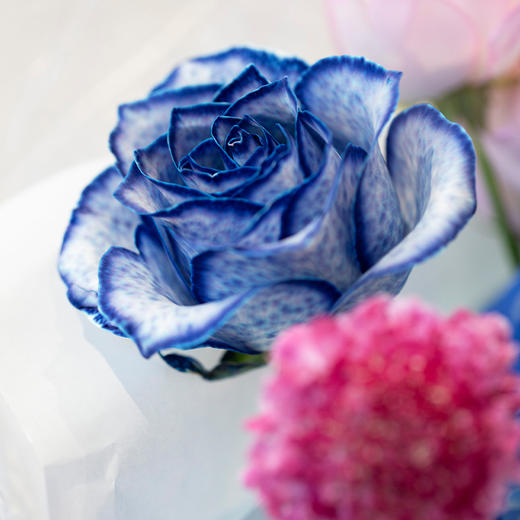 处女座4款幸运花束｜十二星座随心定制系列 商品图4