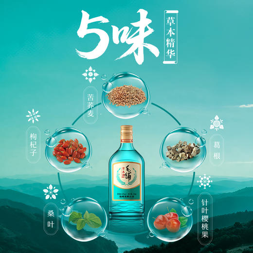 【新品】42°劲牌毛铺草本酒（绿荞）258ml 商品图1