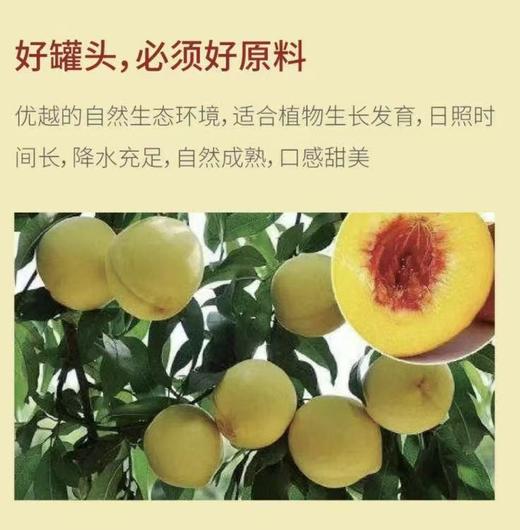 1.25kg我得黄桃罐头  净化配方  配料更干净  0安赛蜜0阿斯巴甜 商品图2