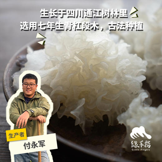 有机通江段木银耳| 合作生产*Mechanical Organic Tremella | Partner Production 商品图0