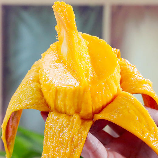 【四川攀枝花彩虹芒】新鲜甜糯大芒果 当季热带水果 商品图2