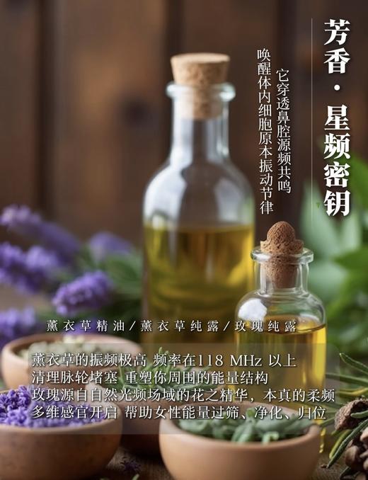 源频岛屿 · 岛民活动 商品图6