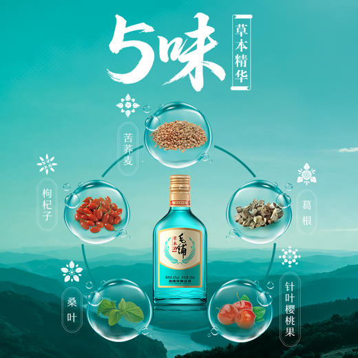 【新品】42°劲牌毛铺草本酒（绿荞）125ml 商品图3