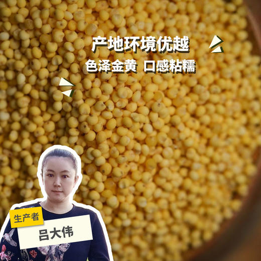 有机大黄米 | 合作生产*Organic  Rhubarb rice | Coproduction 商品图0