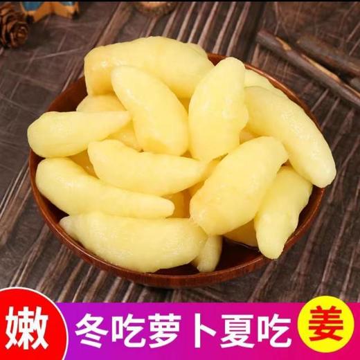 【嫩姜芽】  1kg/罐 商品图1