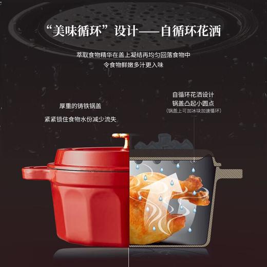 膳魔师 珐琅锅家用炖锅铸铁锅汤锅 EC-S24 (红色/绿色 颜色备注）22.5cm/个 商品图2