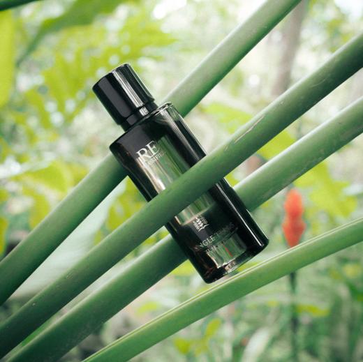 【新品上市】丛林童话沙龙香水50ml 商品图3