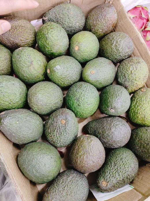 牛油果一个 商品图2