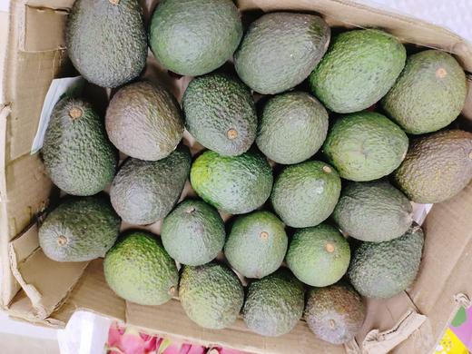 牛油果一个 商品图1