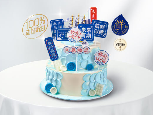 【前程似锦】双层冰淇淋/水果生日蛋糕 商品图0