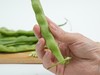 【芸岭鲜生】四季豆300g装（社区现场自提商品，非社区进群用户订单无效） 商品缩略图2
