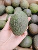牛油果一个 商品缩略图0