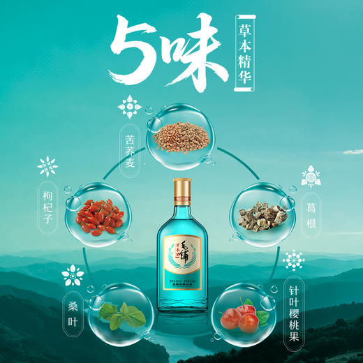 【新品】42°劲牌毛铺草本酒（绿荞）520ml 商品图1