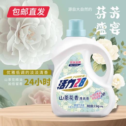 活力28山茶花洗衣液【TC】 商品图2