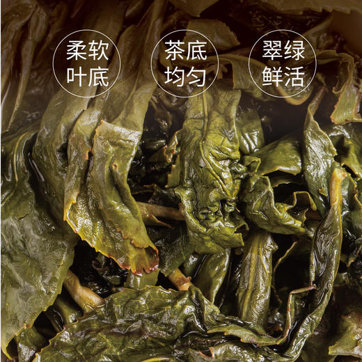 梨山乌龙150g 商品图6