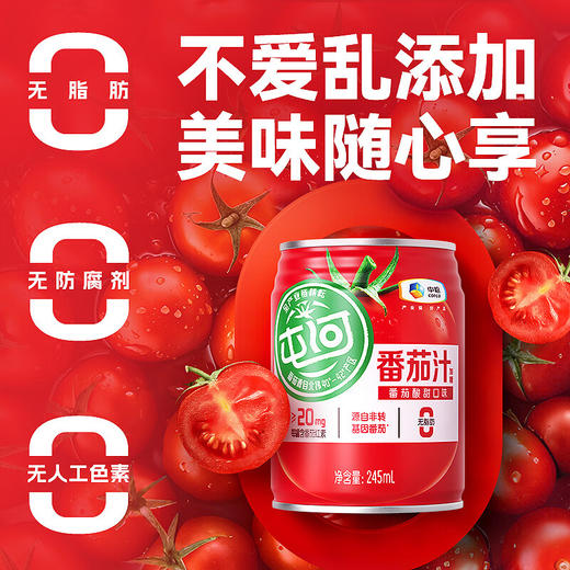 中粮屯河番茄汁礼盒245ml*10听/提（新老包装随机） 商品图3