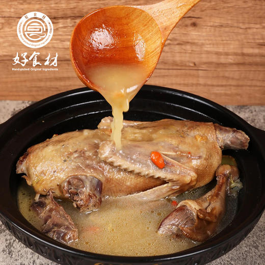 CY-水养老麻鸭 商品图1