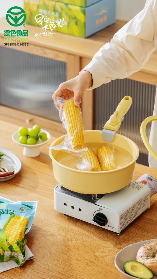 麦秀年早安大苞米头茬东北新鲜黄糯玉米轻负担非转基因 商品图10