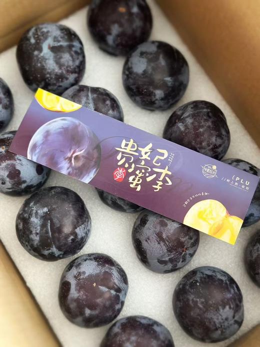 贵妃蜜李（15个装） 商品图0